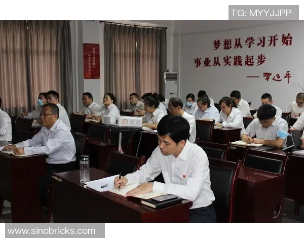 布莱尼足球明星的传奇之路与辉煌成就全解析