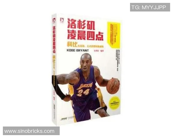 篮球明星公仔书籍的魅力探索与收藏指南让你领略球场传奇的精彩人生