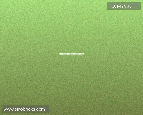 篮球明星日常训练揭秘投篮技巧与心路历程分享 篮球明星日常训练揭秘投篮技巧与心路历程分享