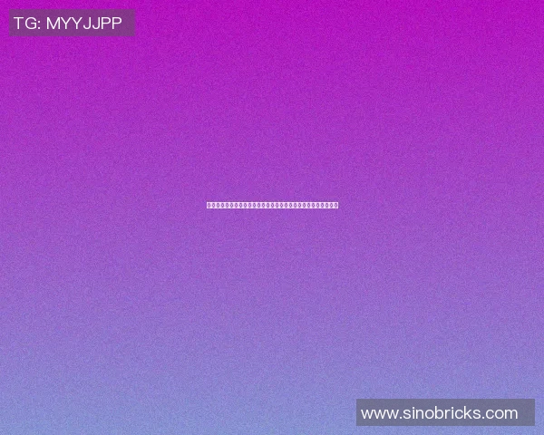 篮球明星洪的传奇之路与不屈精神展现了体育的魅力与奋斗的力量